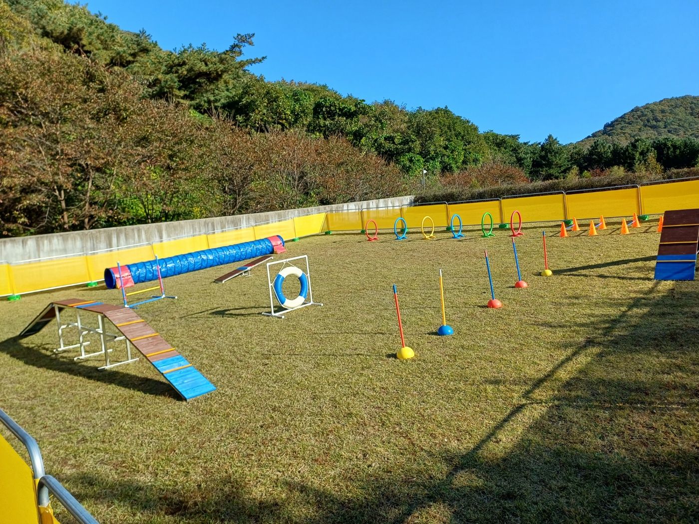 야외 어질리티 체험존 현장