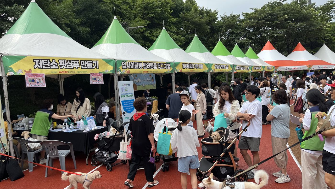 반려동물 행사기획·운영 현장