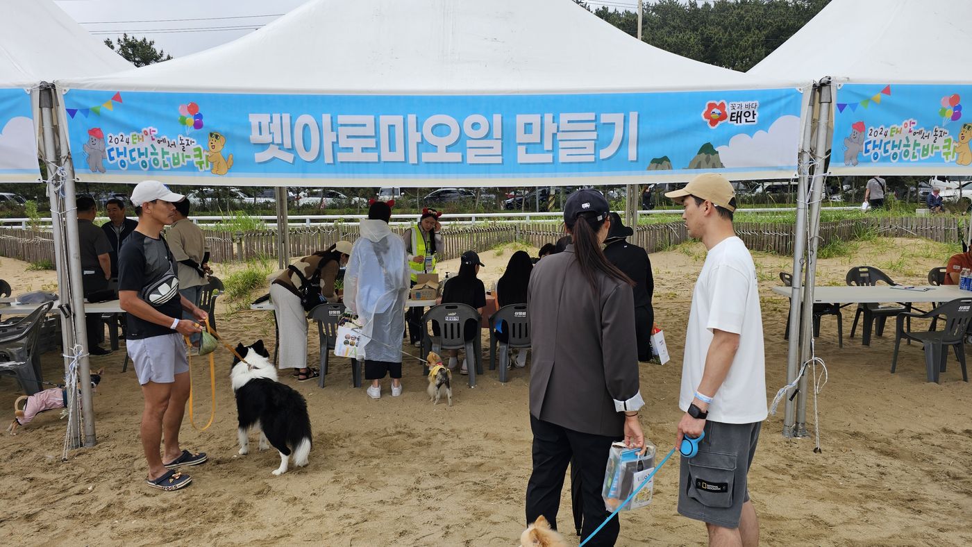 반려견 체험부스 운영 (해변 행사) 현장
