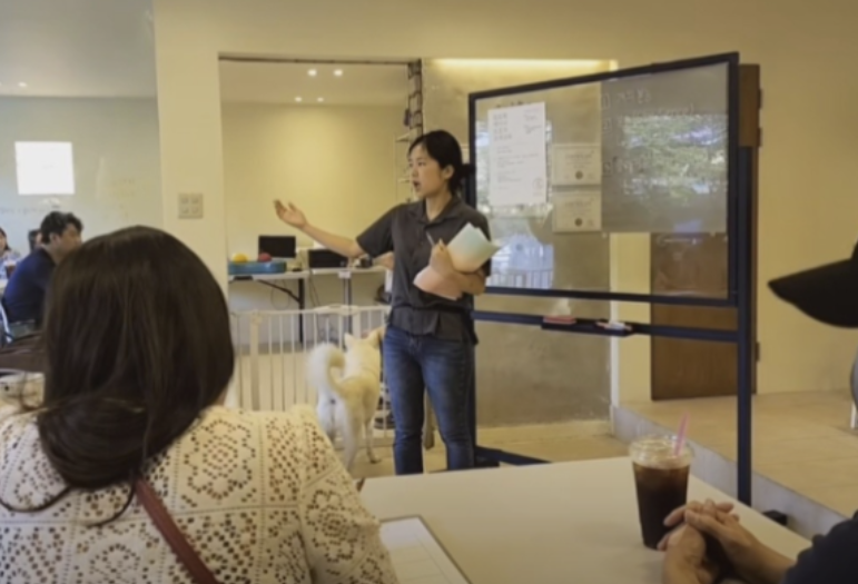 신려정 반려견트레이너 프로필 사진